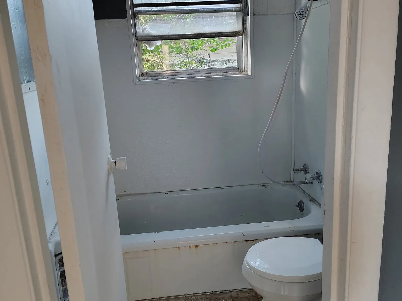 1 bed, 650 sqft, $750 — Photo 3