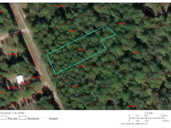 307 Lumbermans Rd Lot 307, Onalaska, TX 77360