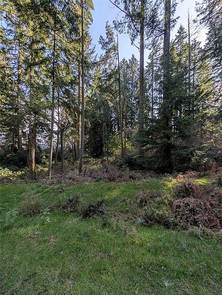 4th image of 10325 Totem Way