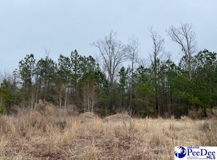 608 Jacobean Ct, Florence, SC 29505
