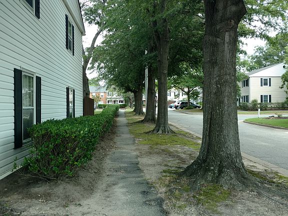 Large shade trees