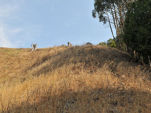 4th image of Thorndale Dr