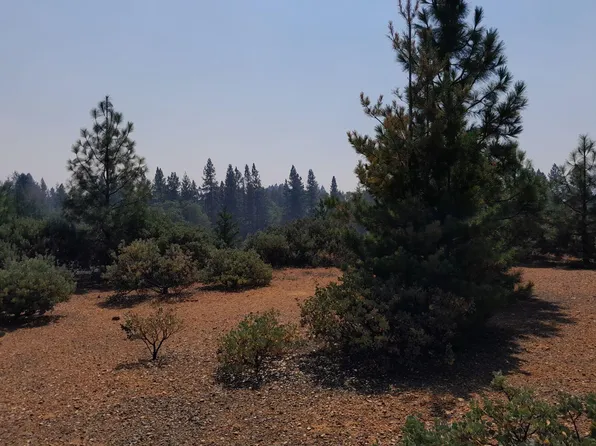 340 Cedar Ridge Dr, Cave Junction, OR 97523