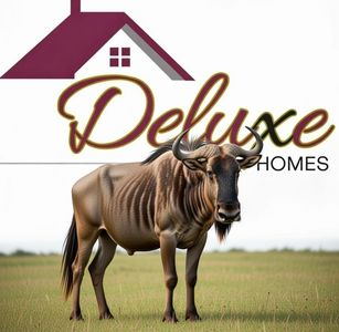 4190 Wildebeest Way, San Angelo, TX, 76901