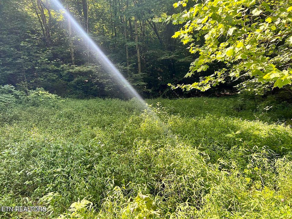 1st image of 0 Jackson Ridge Rd