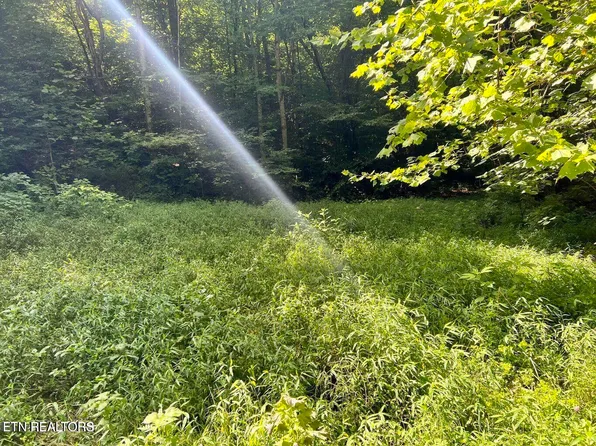 0 Jackson Ridge Rd, Tazewell, TN 37879