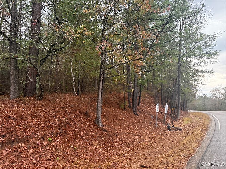 2nd image of 0 Flat Rock Rd
