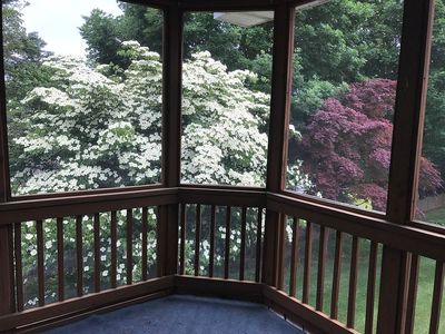 733 Rosecroft Ct, Forest Hill, MD, 21050