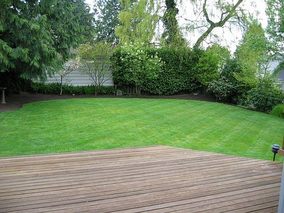Backyard 2016
