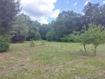 5595 E Arthur St, Inverness, FL, 34452