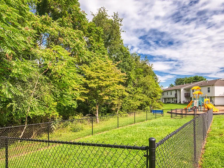 Grassy Dog Park
