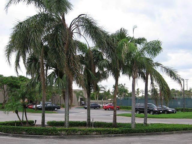 2nd image of 12325 NW 11th St