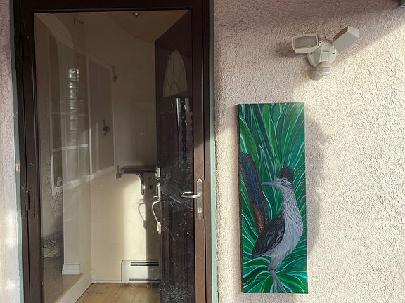 Front door at porch