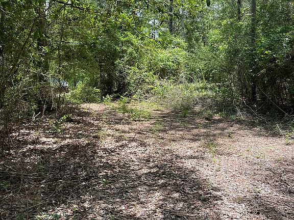 2nd image of 30 Zora Ln