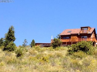252 Switzerland Trl, Nederland, CO 80466