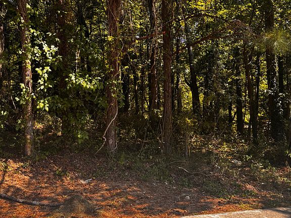 5th image of LOT 35 Ryman Ridge Rd