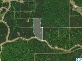 215 Shore Side Ln LOT 215, Sylacauga, AL 35151