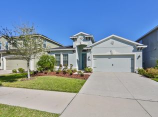 11153 Spring Point Cir, Riverview, FL 33579