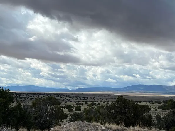 32 Horseshoe Trl, Quemado, NM 87829