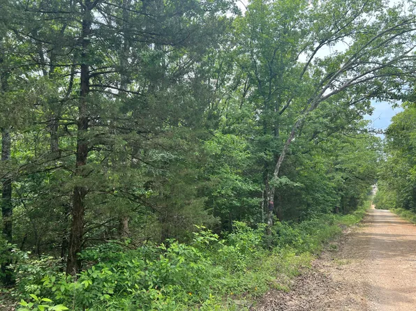 000 County Road 827, Isabella, MO 65676