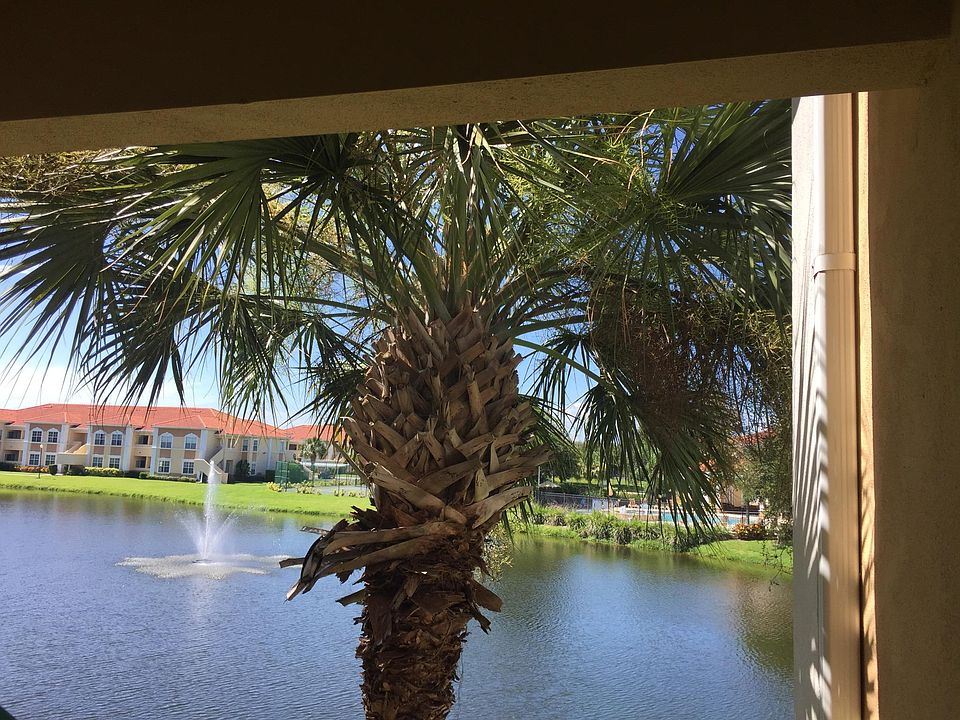 View from the balcony