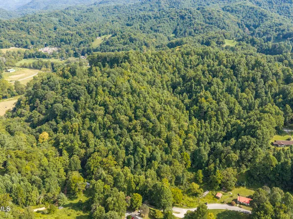 0 Bear Cage Rd, Roan Mountain, TN 37687