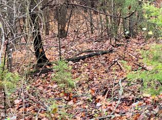 LOT-19R Rayl Hollow Rd, Decatur, TN 37322