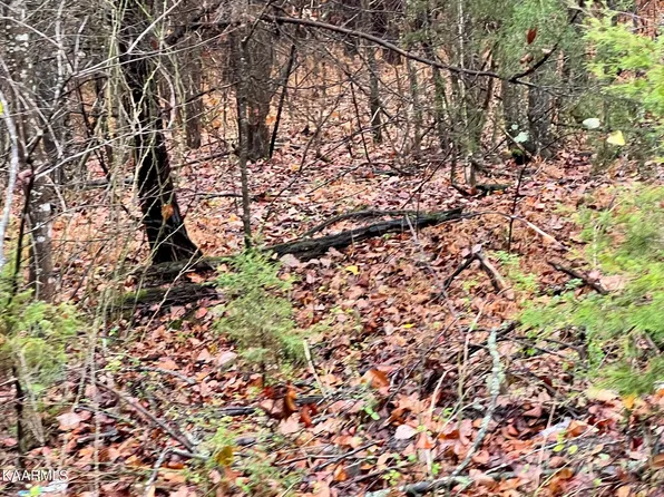 LOT-14R Rayl Hollow Rd, Decatur, TN 37322