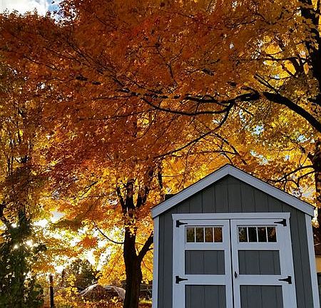 14_garden_shed_2[1]