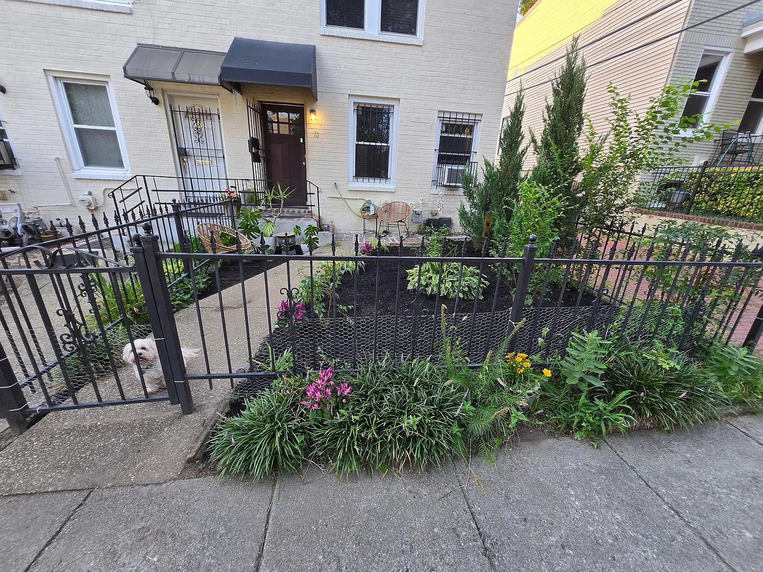 2 bed, 1500 sqft, $3,000 — Photo 2
