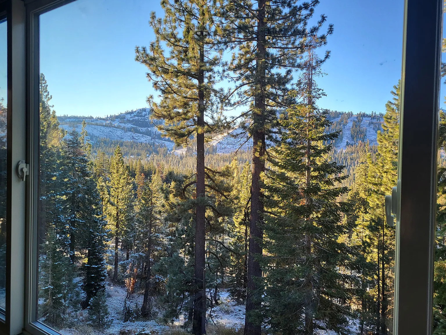 58256 Donner Pass Rd — Photo 3