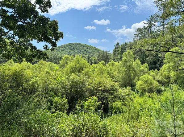 361 Rooster Cv, Brevard, NC 28712