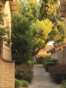 1008 Claremont Ct, Modesto, CA, 95356