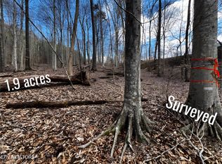 359 Morning Glory Rd, New Tazewell, TN 37825