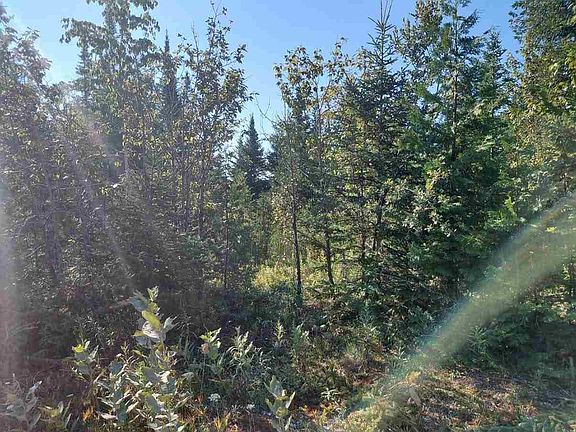 5th image of 27758 S End Rd