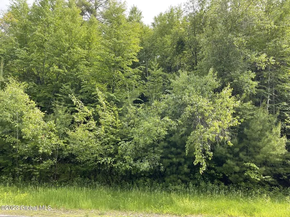 Lot 7 Schaeffer Brook Ln, Lake Luzerne, NY 12846