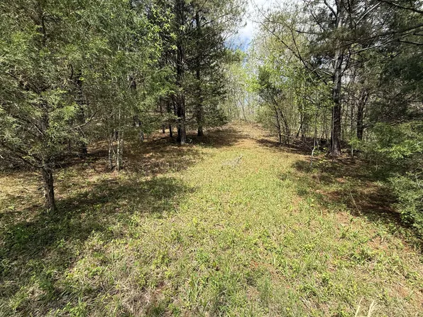 0 Tracy Rd, Hohenwald, TN 38462