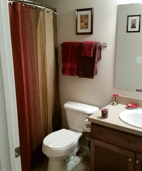Basement Bathroom