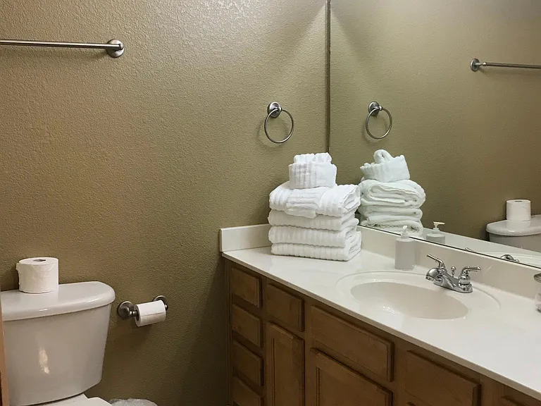 Master bath w/ toilet, sink, and shower/bath combo