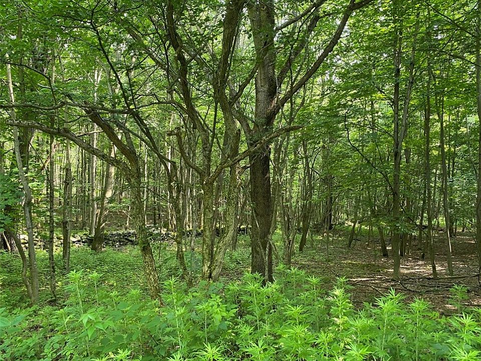 0 Turkey Ln, Hobart, NY 13788 Zillow