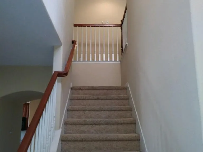 3834 Dominus Dr — Photo 7