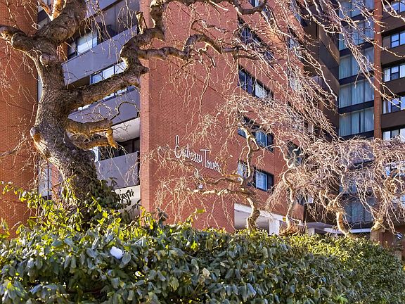 3rd image of 5959 Spring Garden Rd #510