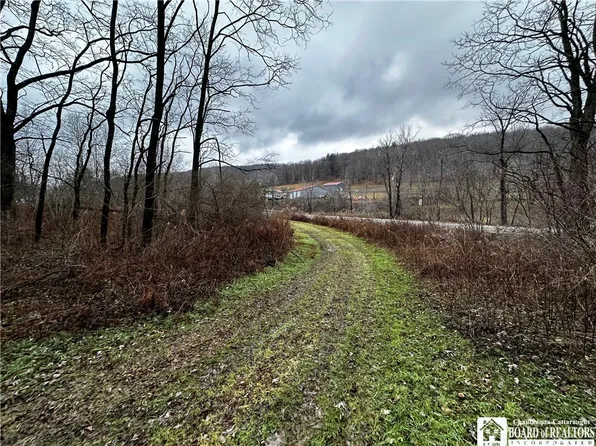 5545 Nichols Run Rd #12, Limestone, NY 14753