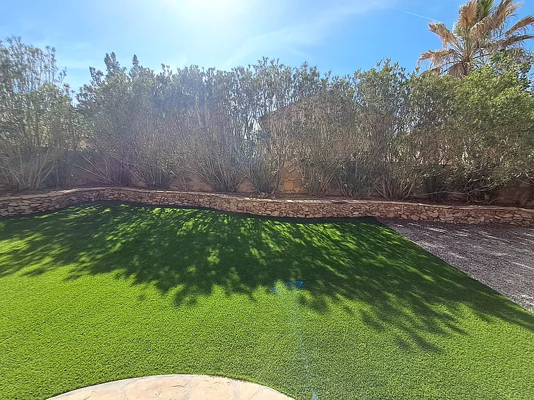 2537 Tierra Grande Ct — Photo 13