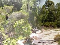 1st image of 9850 NE 136th Ct