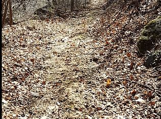 Taylor Mountain Rd Parcel #7104000, Thaxton, VA 24174