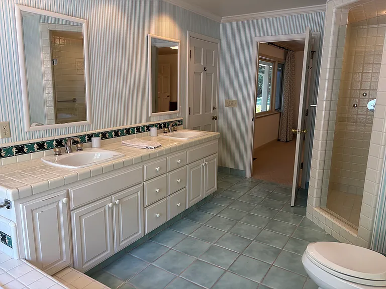 Primary bathroom with access to back yard