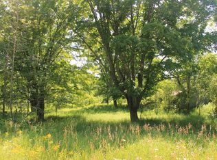 Hartwick Pines Rd, Grayling, MI 49738