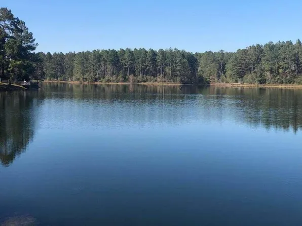 1040 Bilbo Rd, Lumberton, MS 39455