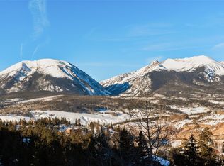 170 Evergreen Rd UNIT 202, Dillon, CO 80435